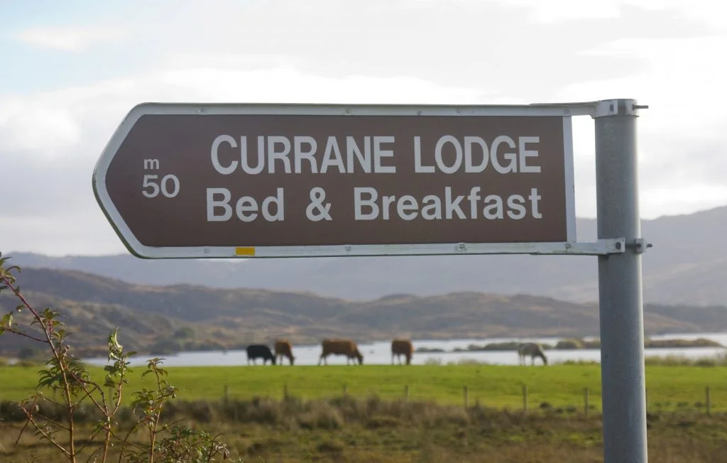 Church Island on Lough Currane with monastic ruins