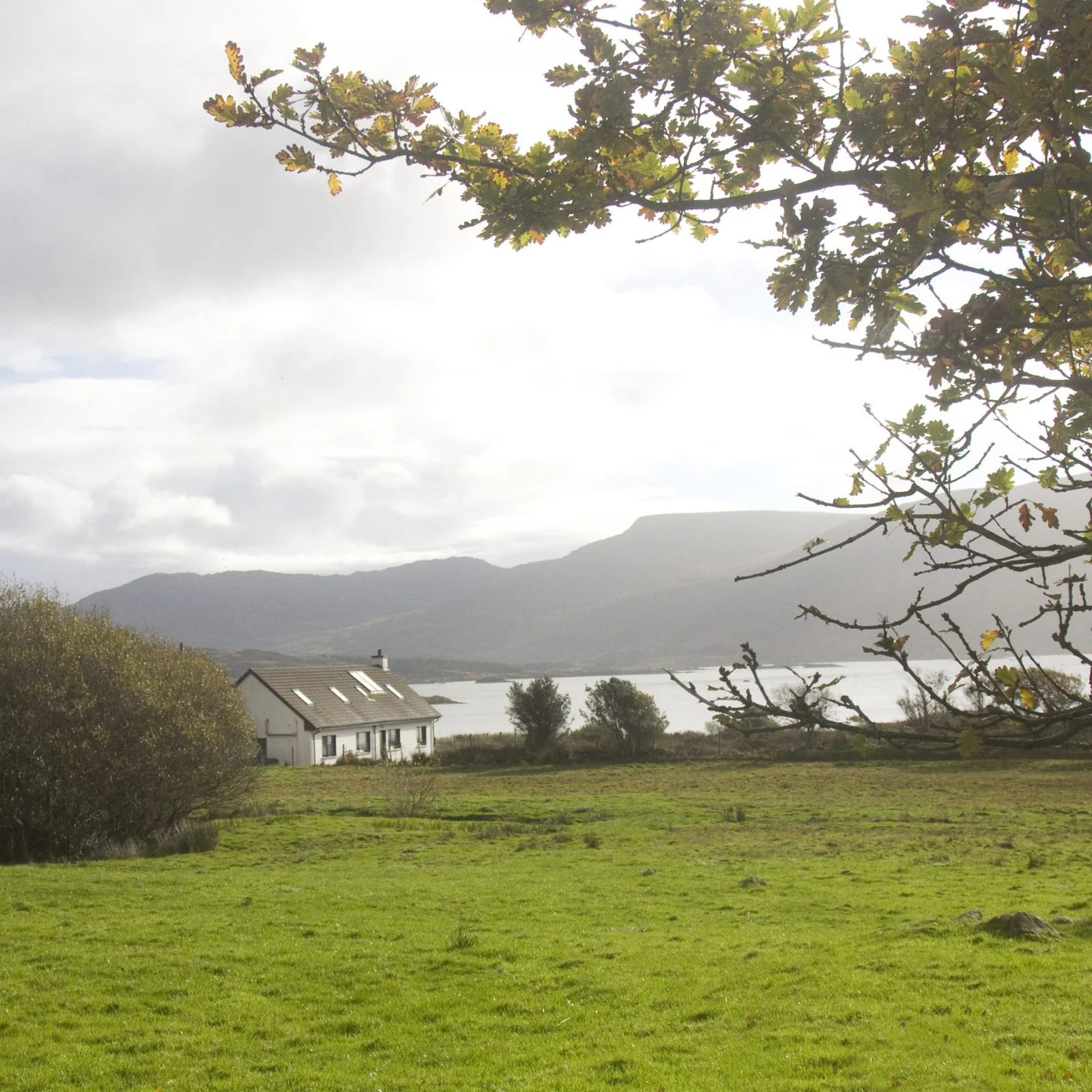 Freshly baked scones and brown bread at Currane Lodge